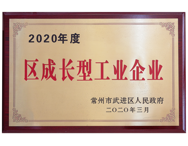 Regional growth industrial enterprise in 2020
