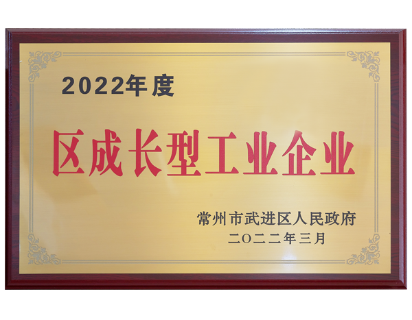 Regional growth industrial enterprise in 2022